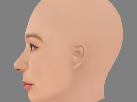Alba August Head - No Hair - Low poly head for game 3D Модель