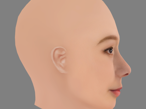 Alba August Head - No Hair - Low poly head for game 3D Модель