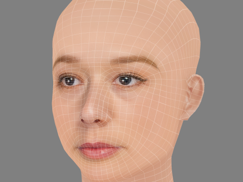 Alba August Head - No Hair - Low poly head for game 3D Модель