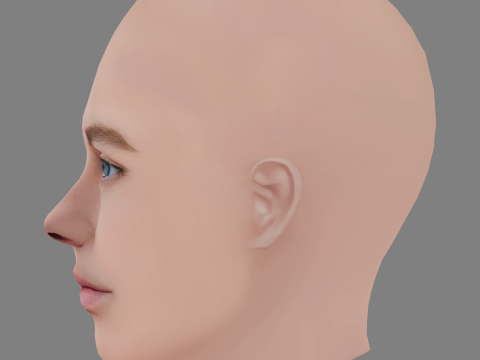 Alicia von Rittberg Head - No Hair - Low poly head for game 3D Model