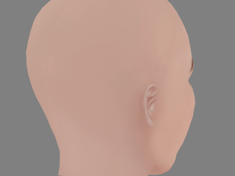 Alicia von Rittberg Head - No Hair - Low poly head for game 3D Model