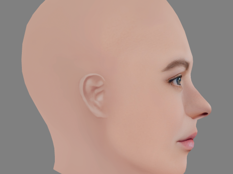 Alicia von Rittberg Head - No Hair - Low poly head for game 3D Model