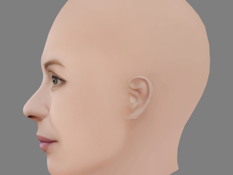 Aliette Opheim Head - No Hair - Low poly head for game 3D Model
