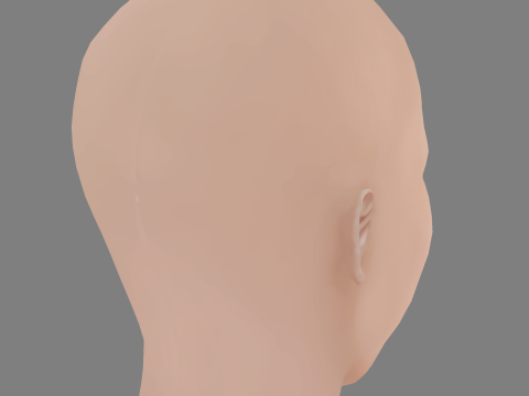 Aliette Opheim Head - No Hair - Low poly head for game 3D Model