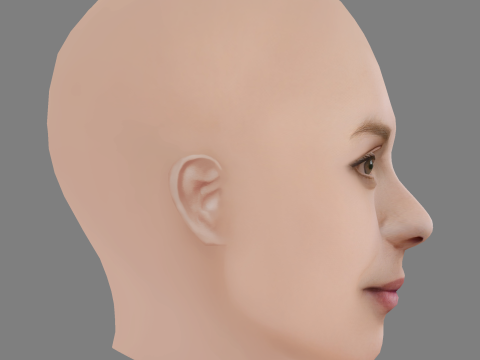 Aliette Opheim Head - No Hair - Low poly head for game 3D Model