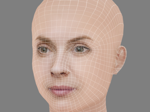 Aliette Opheim Head - No Hair - Low poly head for game 3D Model