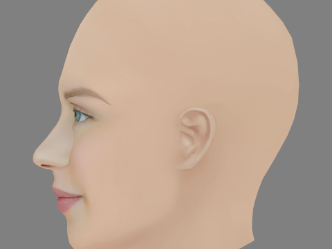 Andrea Heick Gadeberg Head - No Hair - Low poly head for game 3D Model