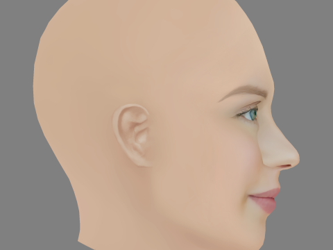 Andrea Heick Gadeberg Head - No Hair - Low poly head for game 3D Model
