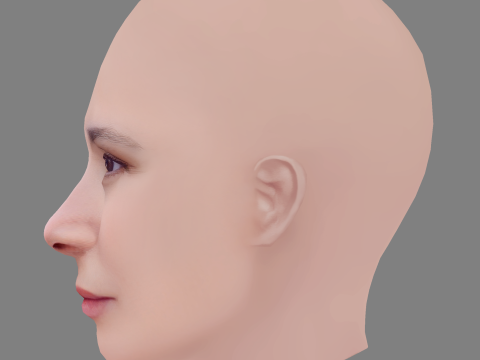 Aylin Tezel Head - No Hair - Low poly head for game 3D Модель