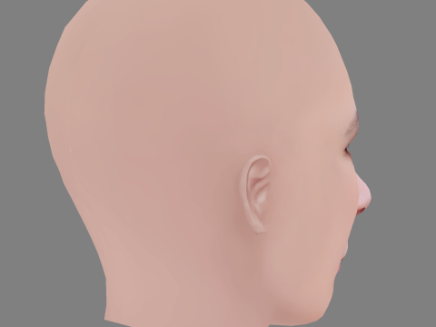 Aylin Tezel Head - No Hair - Low poly head for game 3D Модель