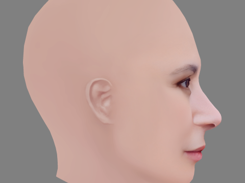Aylin Tezel Head - No Hair - Low poly head for game 3D Модель