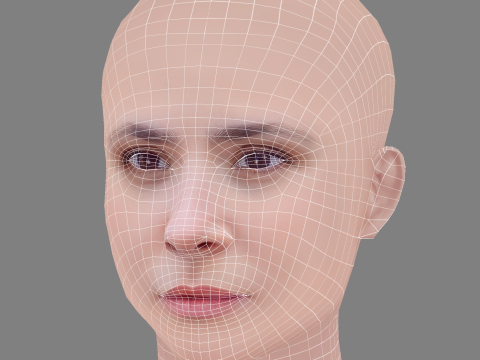 Aylin Tezel Head - No Hair - Low poly head for game 3D Модель
