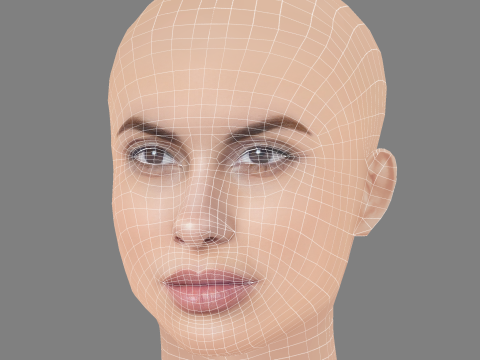 Carolina Loureiro Head - No Hair - Low poly head for game 3D 模型