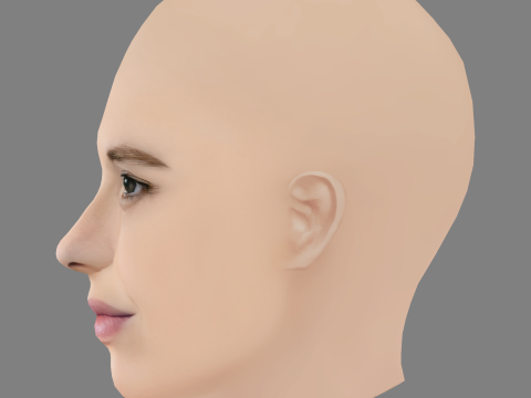 Catarina Wallenstein Head - No Hair - Low poly head for game 3Dモデル