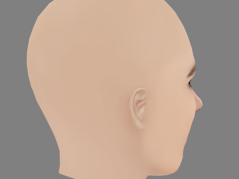 Catarina Wallenstein Head - No Hair - Low poly head for game 3Dモデル