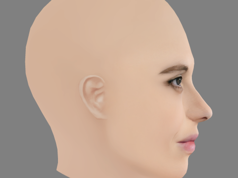 Catarina Wallenstein Head - No Hair - Low poly head for game 3Dモデル