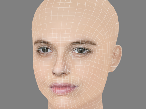 Catarina Wallenstein Head - No Hair - Low poly head for game 3Dモデル