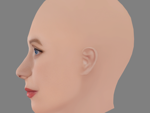 Clara Rosager Head - No Hair - Low poly head for game 3D 模型