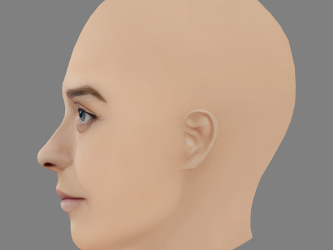 Diana Marques Guerra Head - No Hair - Low poly head for game Model 3D