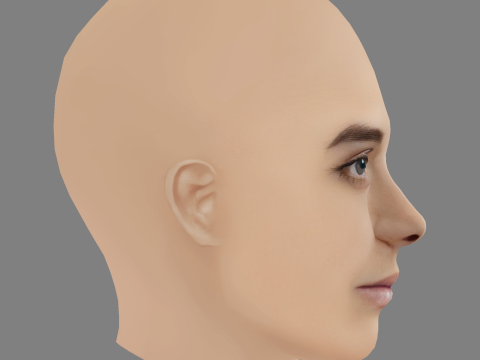 Diana Marques Guerra Head - No Hair - Low poly head for game Model 3D