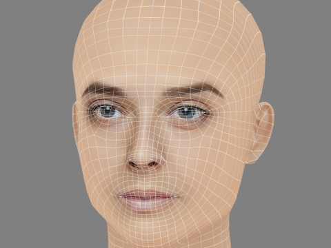 Diana Marques Guerra Head - No Hair - Low poly head for game Model 3D