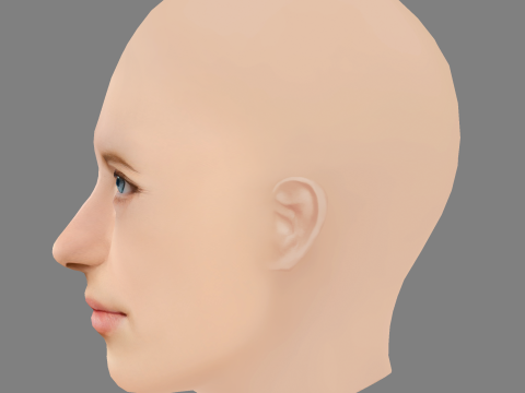 Emilia Pieske Head - No Hair - Low poly head for game 3D 模型