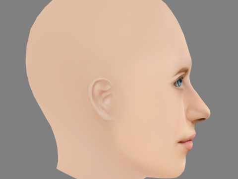 Emilia Pieske Head - No Hair - Low poly head for game 3D 模型