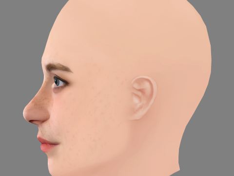 Emilie Kruse Head – No Hair – Low-Poly-Kopf für das Spiel 3D Modell