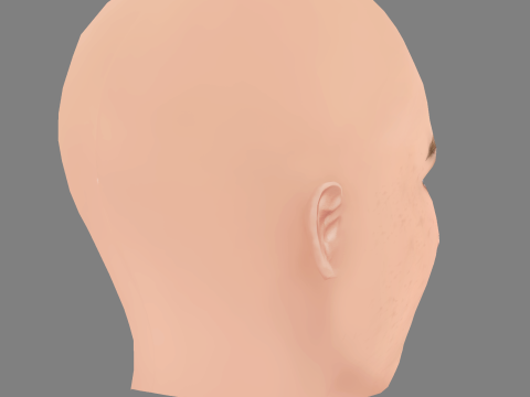 Emilie Kruse Head – No Hair – Low-Poly-Kopf für das Spiel 3D Modell