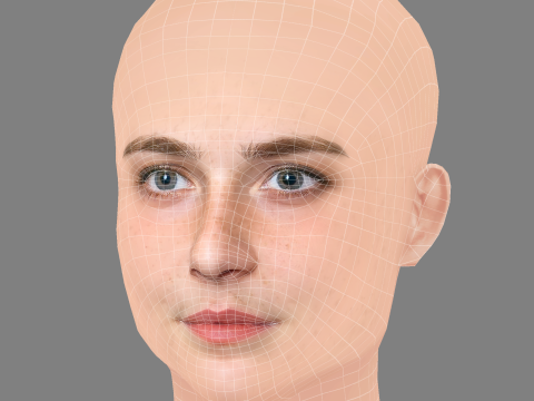 Emilie Kruse Head – No Hair – Low-Poly-Kopf für das Spiel 3D Modell