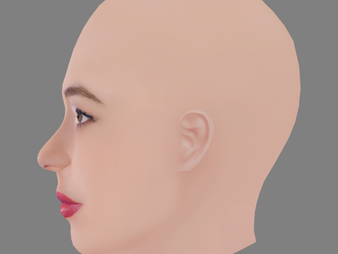 Felice Jankell Head - No Hair - Low poly head for game 3D 模型
