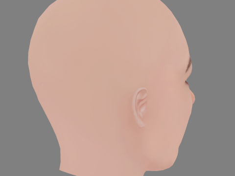 Felice Jankell Head - No Hair - Low poly head for game 3D 模型
