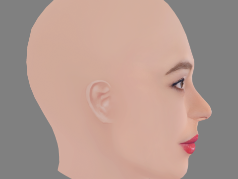 Felice Jankell Head - No Hair - Low poly head for game 3D 模型