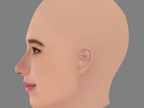 Frederikke Dahl Hansen Head - No Hair - Low poly head for game 3D Модель