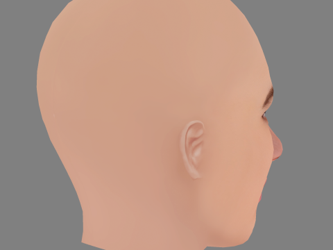 Frederikke Dahl Hansen Head - No Hair - Low poly head for game 3D Модель