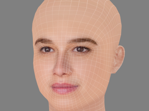 Frederikke Dahl Hansen Head - No Hair - Low poly head for game 3D Модель