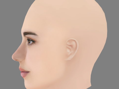 Joana Aguiar Head - No Hair - Low poly head for game 3D Model