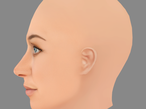 Julia Ragnarsson Head - No Hair - Low poly head for game 3D मॉडल