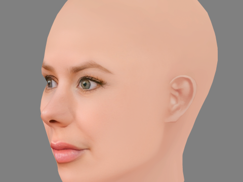 Julie Zangenberg Head - No Hair - Low poly head for game 3D Model