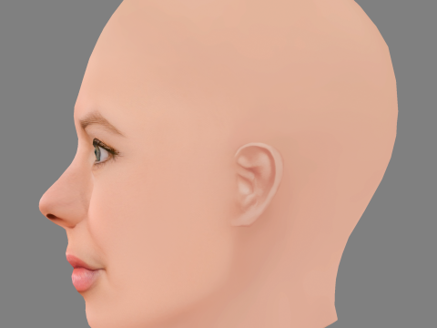 Julie Zangenberg Head - No Hair - Low poly head for game 3D Model