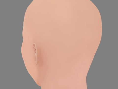 Julie Zangenberg Head - No Hair - Low poly head for game 3D Model