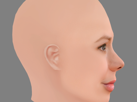 Julie Zangenberg Head - No Hair - Low poly head for game 3D Model