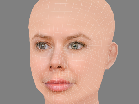Julie Zangenberg Head - No Hair - Low poly head for game 3D Model
