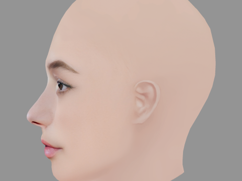 Lilly Liefers Head - No Hair - Low poly head for game 3Dモデル