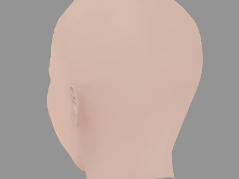 Lilly Liefers Head - No Hair - Low poly head for game 3Dモデル