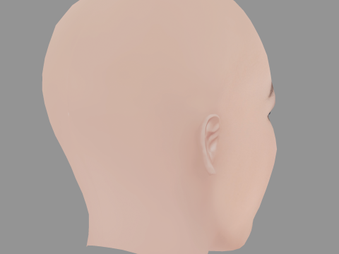 Lilly Liefers Head - No Hair - Low poly head for game 3Dモデル