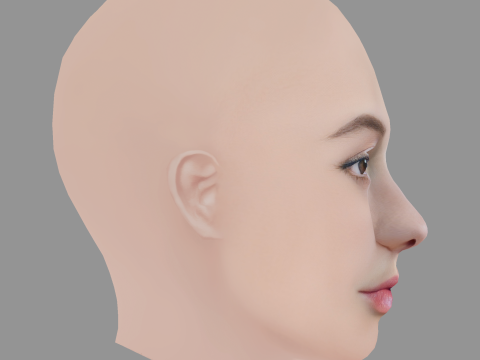 Lilly Liefers Head - No Hair - Low poly head for game 3Dモデル