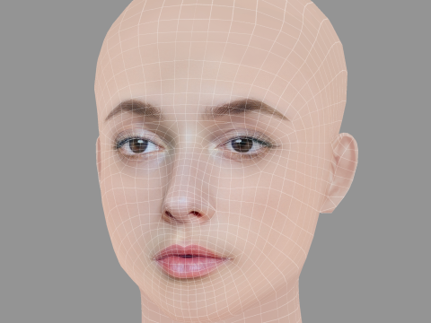 Lilly Liefers Head - No Hair - Low poly head for game 3Dモデル