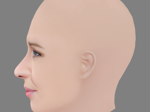 Lisa Henni Head - No Hair - Low poly head for game Modello 3D