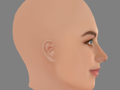 Lisa Tomaschewsky Head - No Hair - Low poly head for game 3D 模型